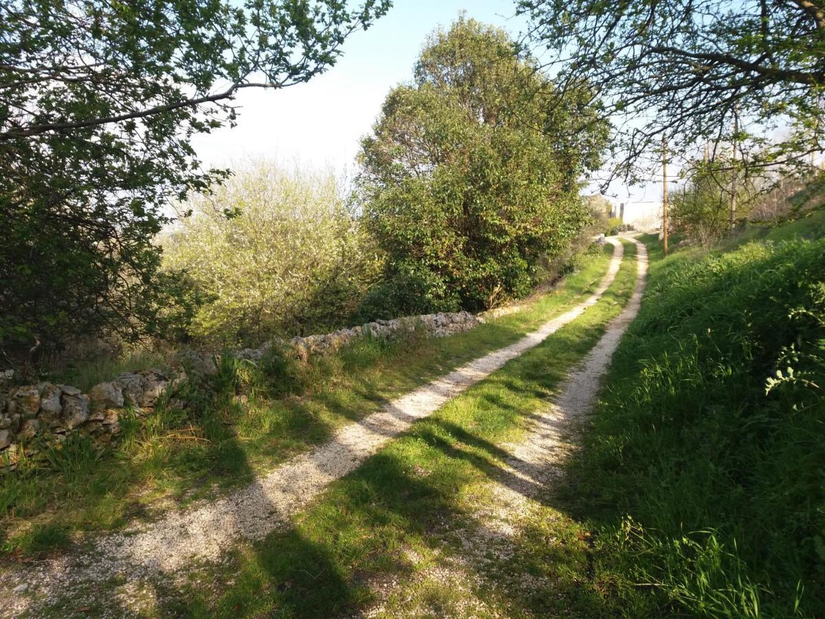 Trulli Di Puglia - Casa Vacanze In Valle D'Itria Martina Franca Zewnętrze zdjęcie