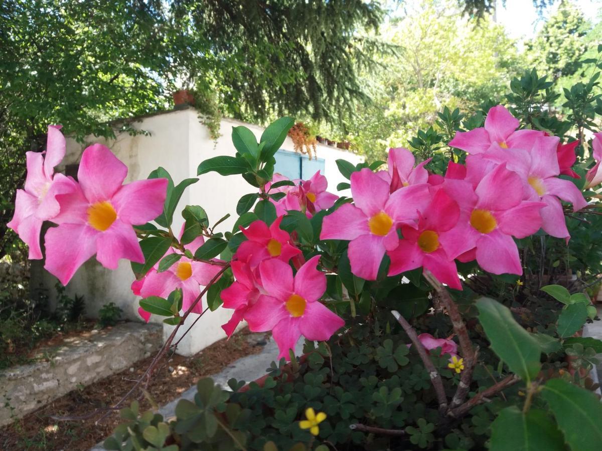 Trulli Di Puglia - Casa Vacanze In Valle D'Itria Martina Franca Zewnętrze zdjęcie
