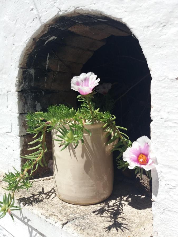 Trulli Di Puglia - Casa Vacanze In Valle D'Itria Martina Franca Zewnętrze zdjęcie